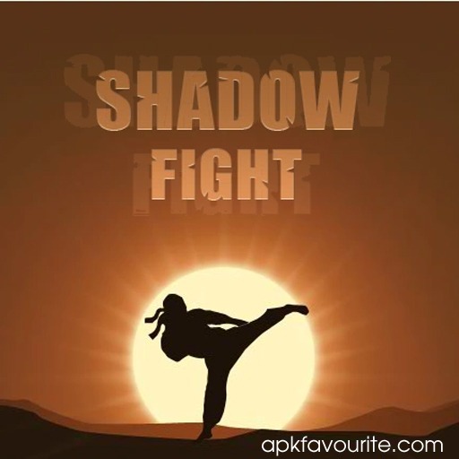 shadow fight